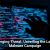 Emerging Threat: Unveiling the Latest Malware Campaign